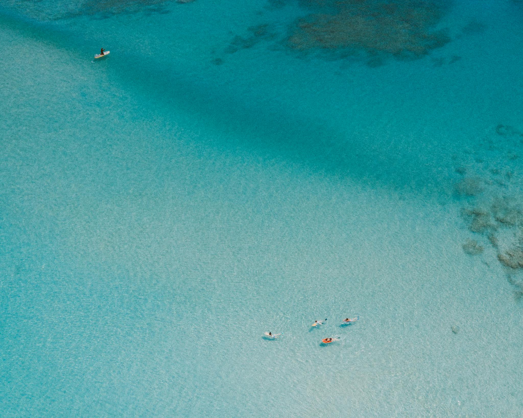 A stunning aerial shot of surfers in the turquoise waters of Hawaii, showcasing serene ocean beauty.